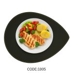 زیربشقابی 1005